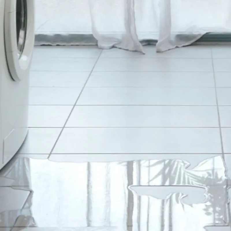 Appliance Leak Cleanup in Hays, NC