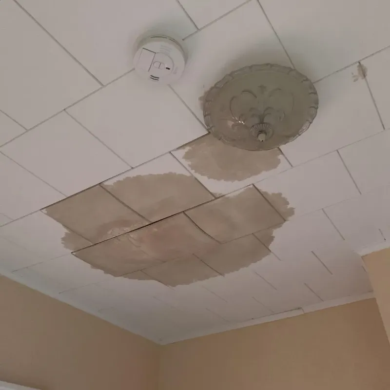 Ceiling Water Damage Repair in Hays, NC
