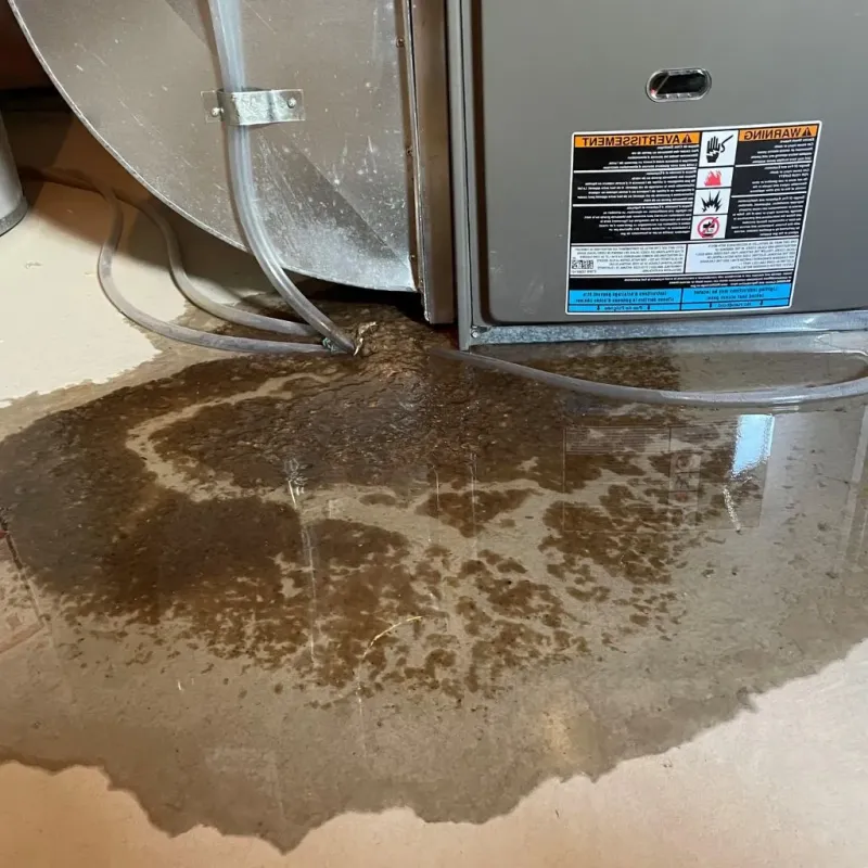 Pipe Burst and Leak Restoration in Hays, NC