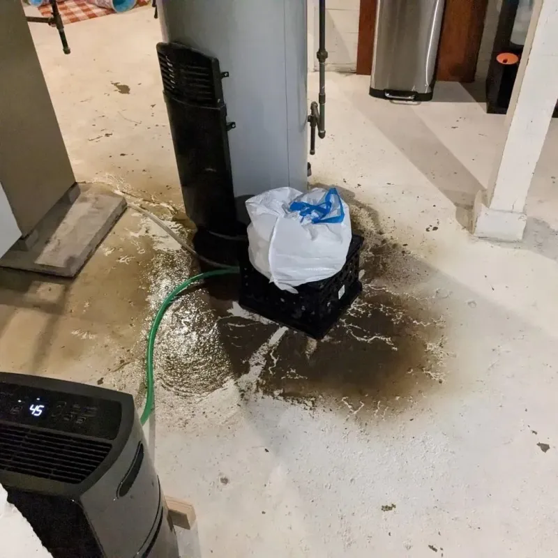 Sewage Backup Cleanup Service in Hays, NC